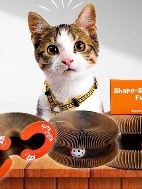 The ultimate cat toy